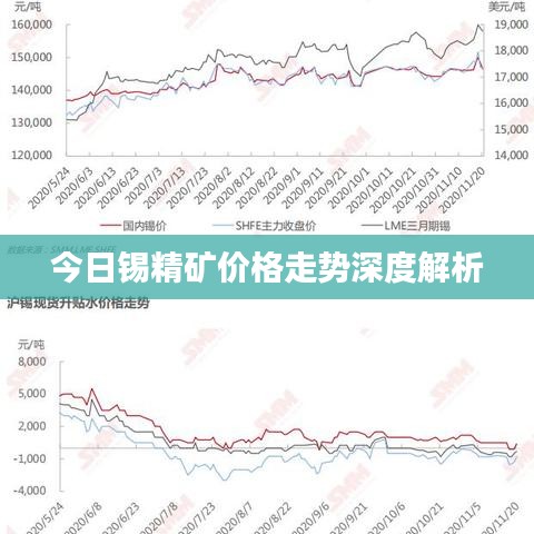 今日锡精矿价格走势深度解析