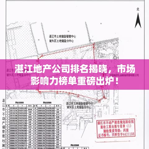 湛江地产公司排名揭晓，市场影响力榜单重磅出炉！