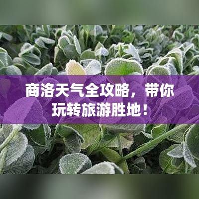 商洛天气全攻略，带你玩转旅游胜地！