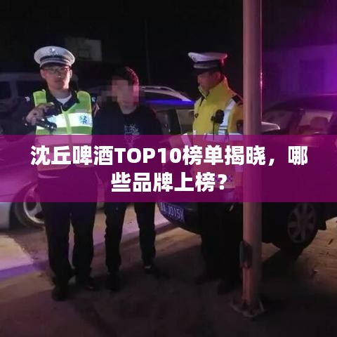 沈丘啤酒TOP10榜单揭晓，哪些品牌上榜？