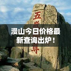 漫山今日价格最新查询出炉！