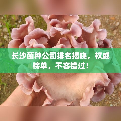 长沙菌种公司排名揭晓，权威榜单，不容错过！