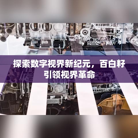 遍地开花