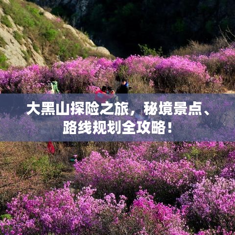 德才兼备