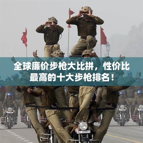 全球廉价步枪大比拼，性价比最高的十大步枪排名！