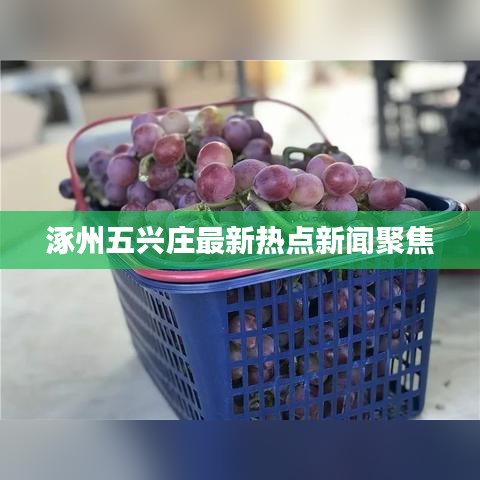 涿州五兴庄最新热点新闻聚焦