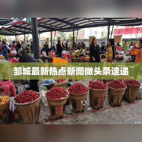邹城最新热点新闻微头条速递