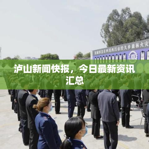 泸山新闻快报，今日最新资讯汇总