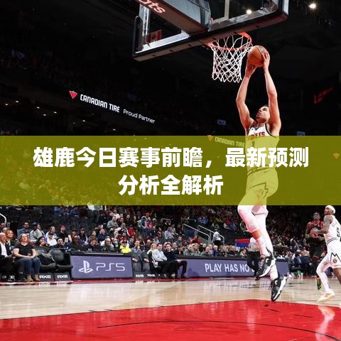 雄鹿今日赛事前瞻，最新预测分析全解析