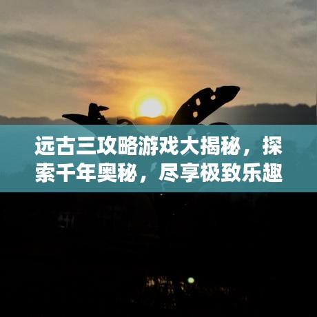 眼张失道