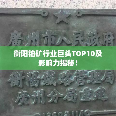 衡阳铀矿行业巨头TOP10及影响力揭秘！