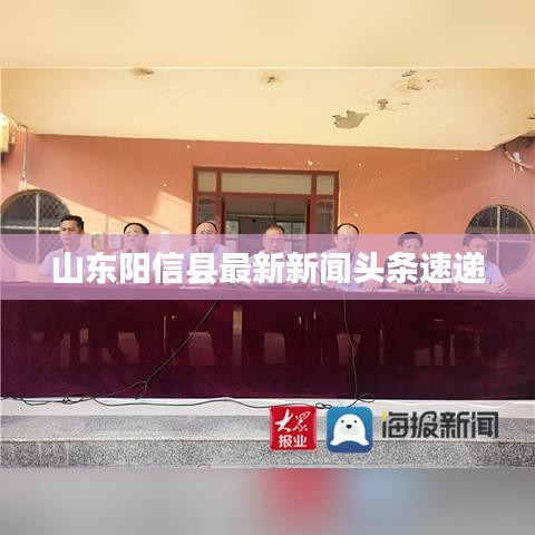 山东阳信县最新新闻头条速递