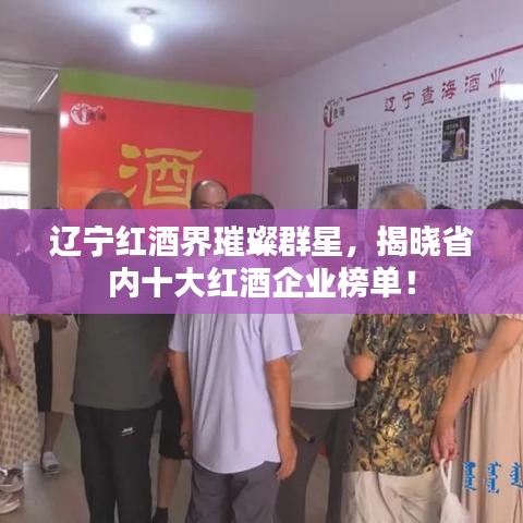 辽宁红酒界璀璨群星，揭晓省内十大红酒企业榜单！