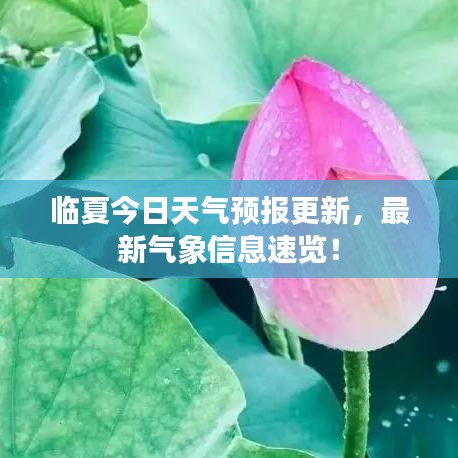 临夏今日天气预报更新，最新气象信息速览！