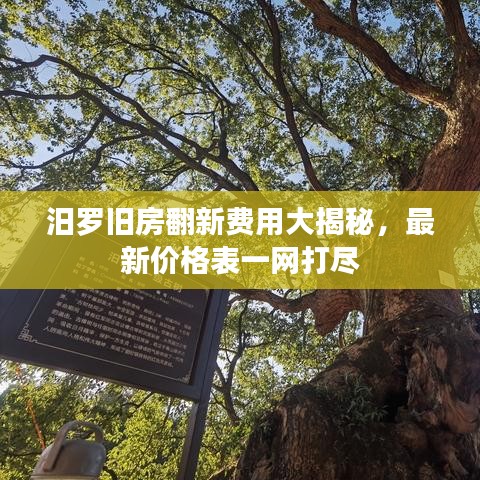 汨罗旧房翻新费用大揭秘，最新价格表一网打尽