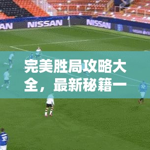 完美胜局攻略大全，最新秘籍一网打尽！
