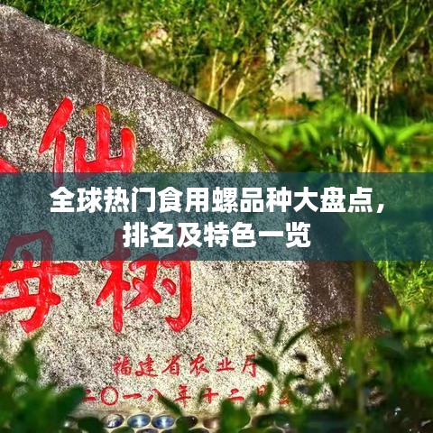 全球热门食用螺品种大盘点，排名及特色一览