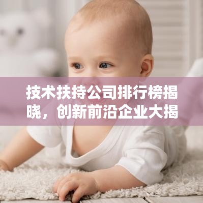 技术扶持公司排行榜揭晓，创新前沿企业大揭秘