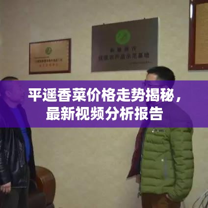 平遥香菜价格走势揭秘，最新视频分析报告