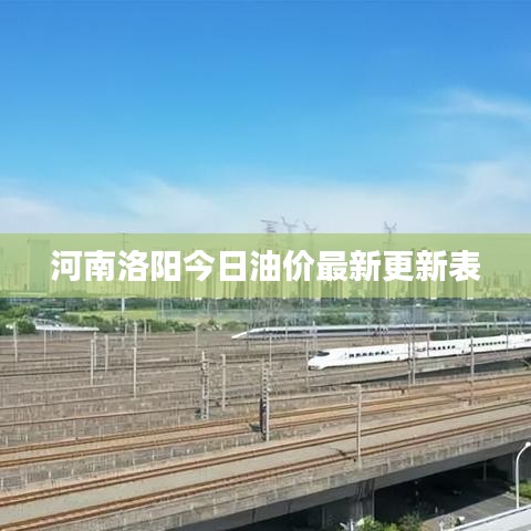 河南洛阳今日油价最新更新表