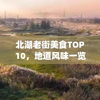 北湖老街美食TOP10，地道风味一览无余