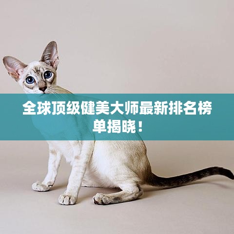 全球顶级健美大师最新排名榜单揭晓！