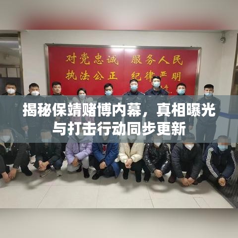 揭秘保靖赌博内幕，真相曝光与打击行动同步更新