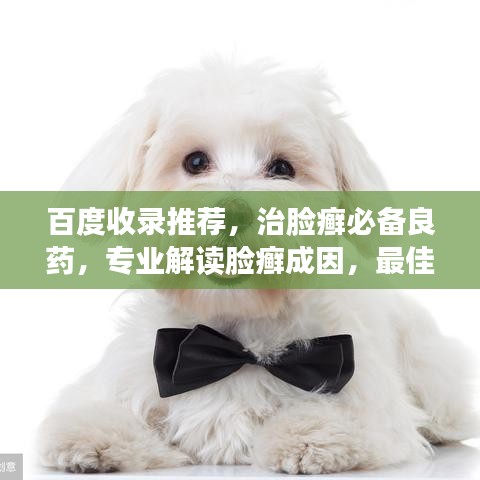 百度收录推荐，治脸癣必备良药，专业解读脸癣成因，最佳治疗策略全解析