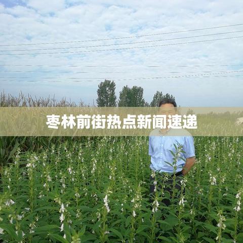 枣林前街热点新闻速递