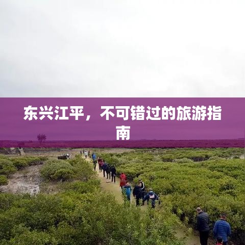 东兴江平，不可错过的旅游指南