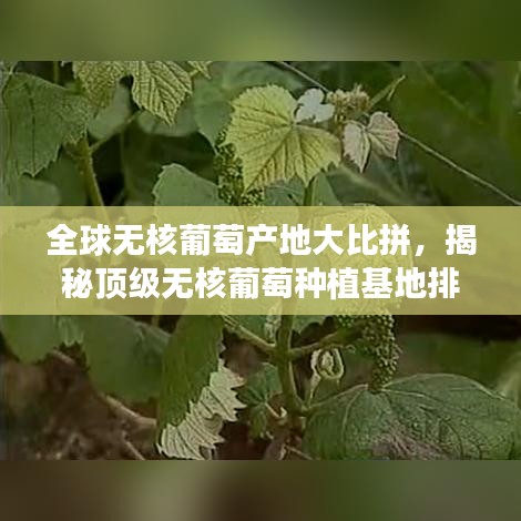 还淳反朴