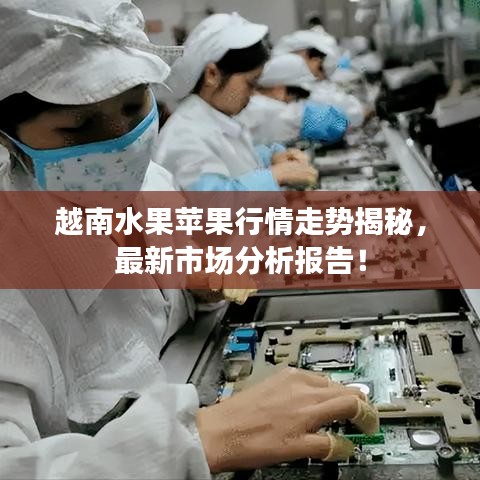 越南水果苹果行情走势揭秘，最新市场分析报告！