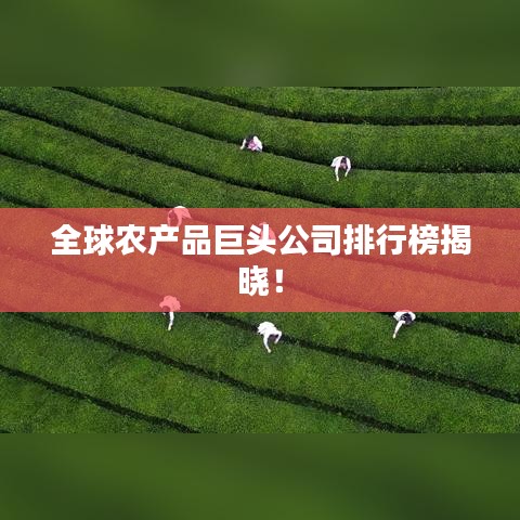 全球农产品巨头公司排行榜揭晓！