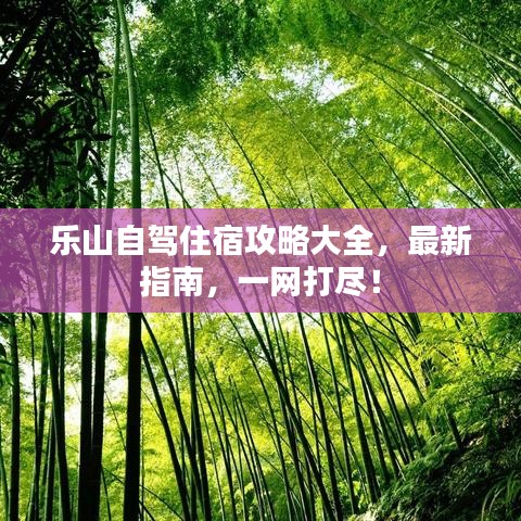 富贵逼人来
