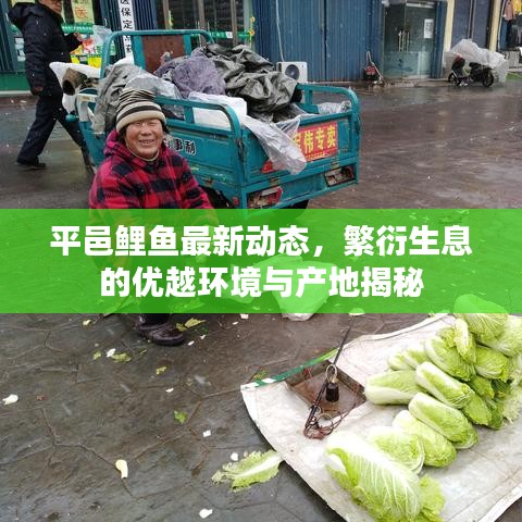 弃文就武