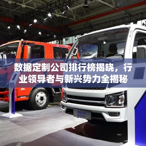 数据定制公司排行榜揭晓，行业领导者与新兴势力全揭秘