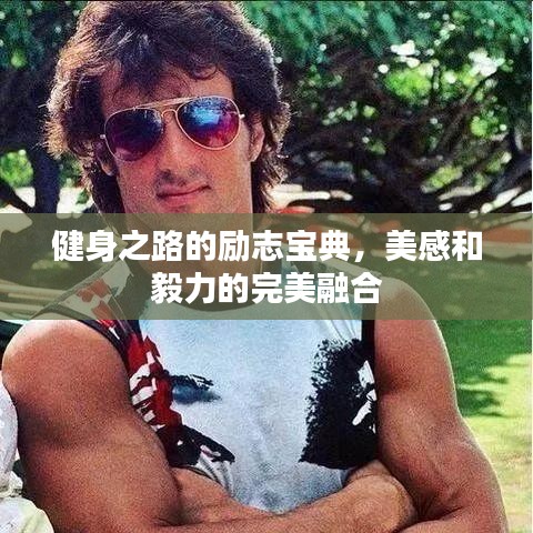 健身之路的励志宝典，美感和毅力的完美融合