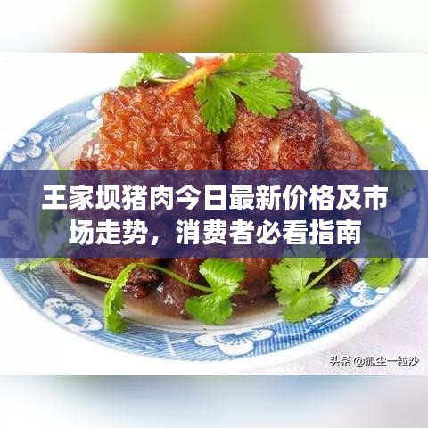 王家坝猪肉今日最新价格及市场走势，消费者必看指南