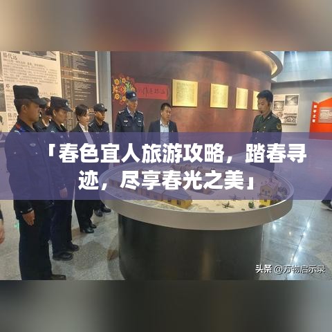 越鸟南栖