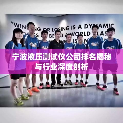 宁波液压测试仪公司排名揭秘与行业深度剖析