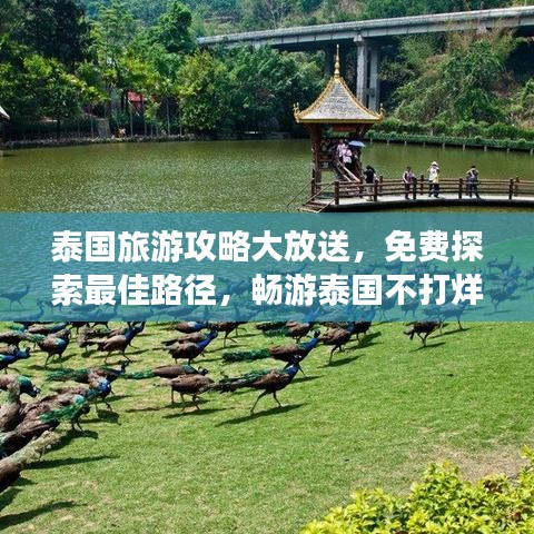 泰国旅游攻略大放送，免费探索最佳路径，畅游泰国不打烊！