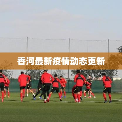 香河最新疫情动态更新