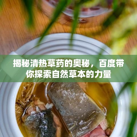 揭秘清热草药的奥秘，百度带你探索自然草本的力量