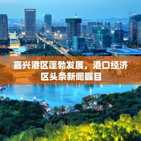 成功案例 第7页