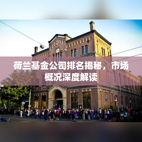 荷兰基金公司排名揭秘，市场概况深度解读
