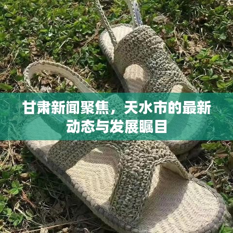 甘肃新闻聚焦，天水市的最新动态与发展瞩目