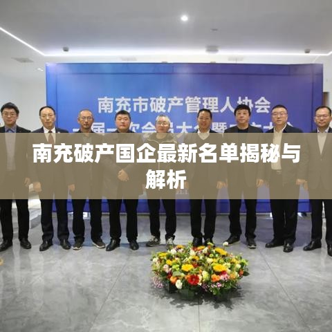 南充破产国企最新名单揭秘与解析