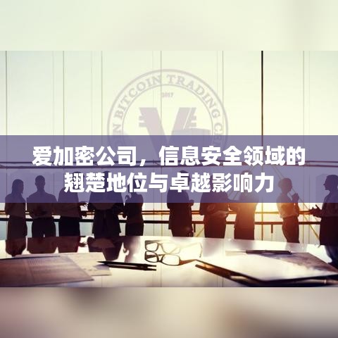 爱加密公司，信息安全领域的翘楚地位与卓越影响力