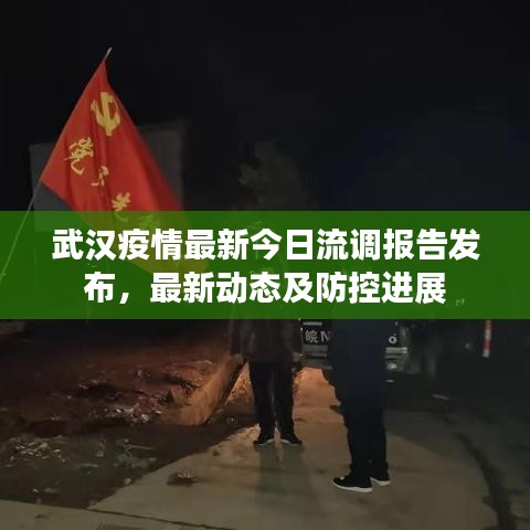 武汉疫情最新今日流调报告发布，最新动态及防控进展