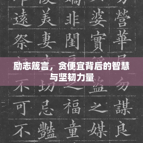 励志箴言，贪便宜背后的智慧与坚韧力量